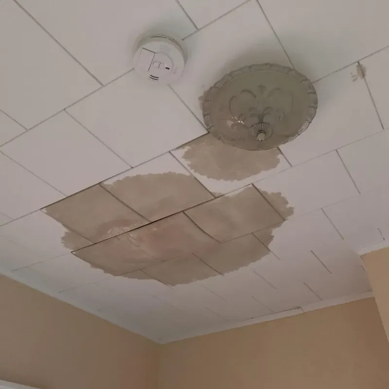 Ceiling Water Damage Repair in Waldoboro, ME