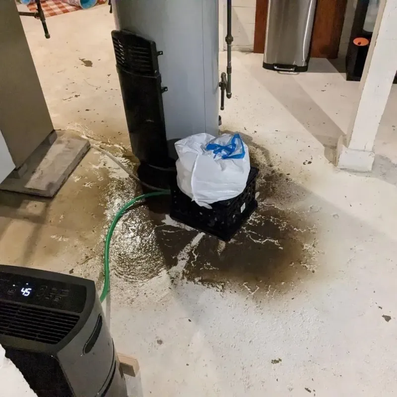 Sewage Backup Cleanup Service in Waldoboro, ME